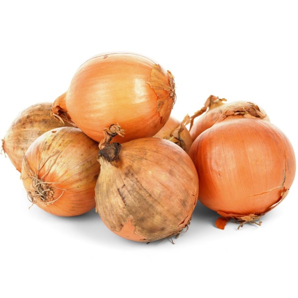 Reca Onion Ecologic 