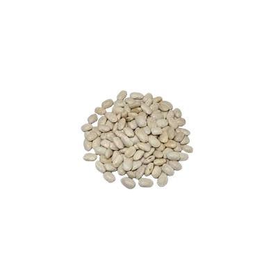 Ecologic White Kidney Bean. IN BULK