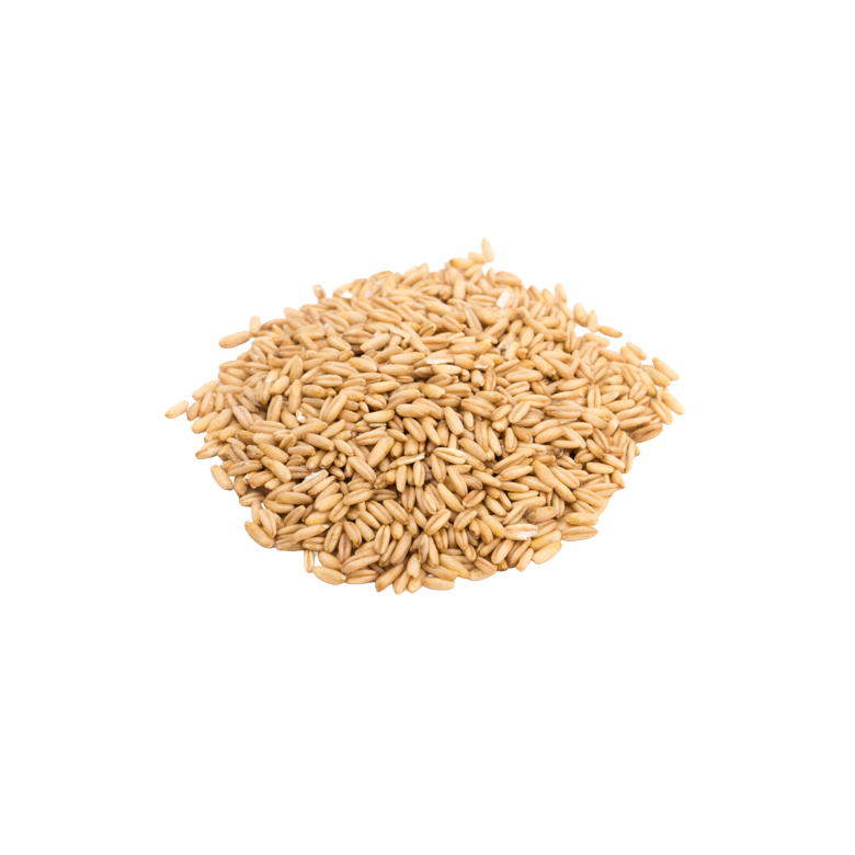 Avena en grano GRANEL Ecológica