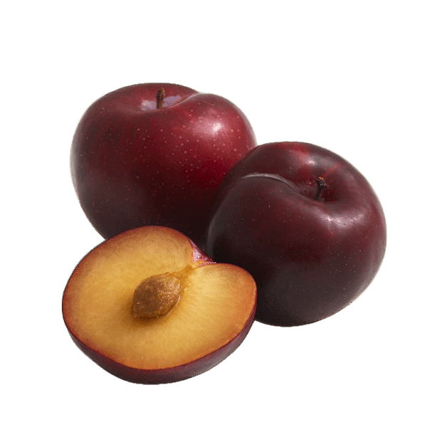 FORTUNA Plum Ecologic