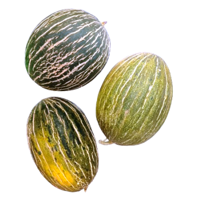 Melon de PIEL DE SAPO Ecológico