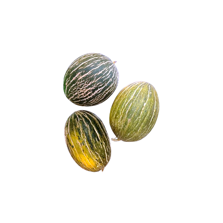 Melon de PIEL DE SAPO Ecológico