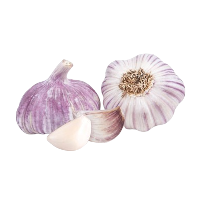 Ajo MORADO Ecológico