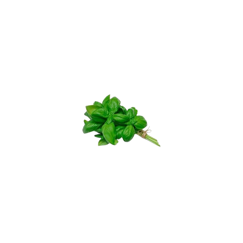 Fresh GREEN Basil Bunch 100 g Ecologic 