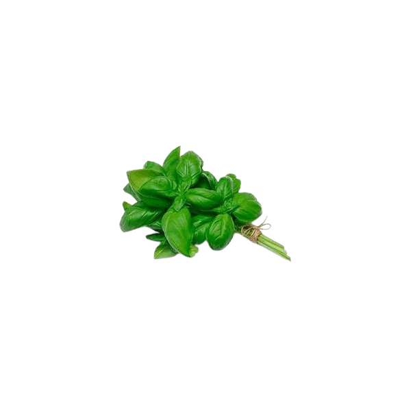 Albahaca VERDE fresca Manojo 100 gr Ecológica. 