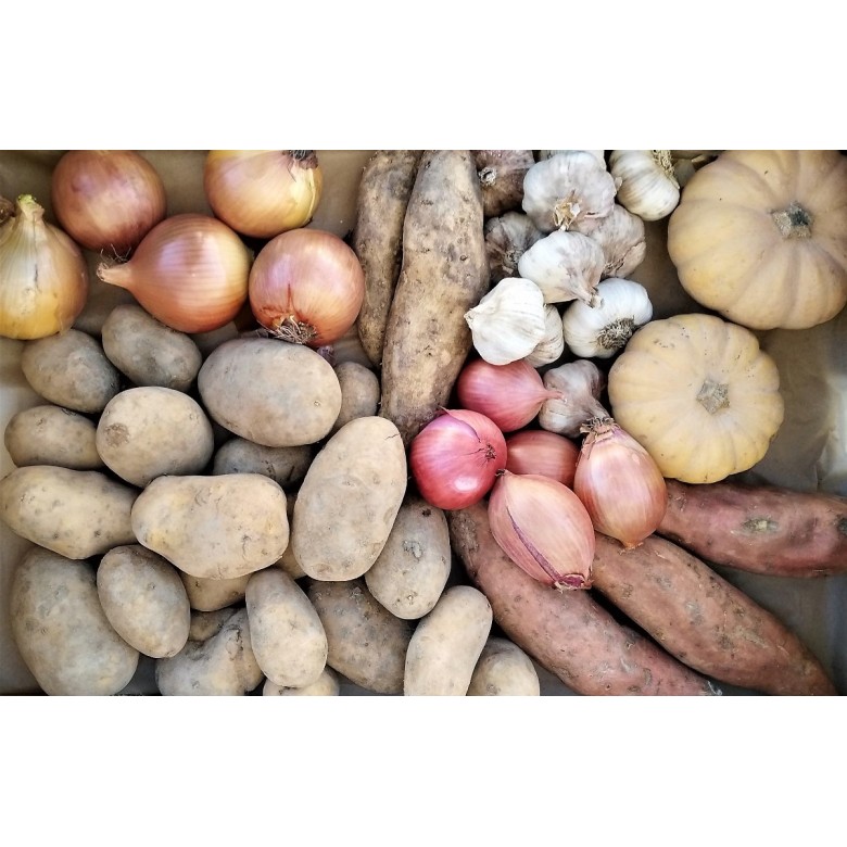 PANTRY ECOBASKET 