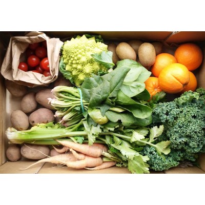 ECOCESTA VERDURA Y FRUTA 