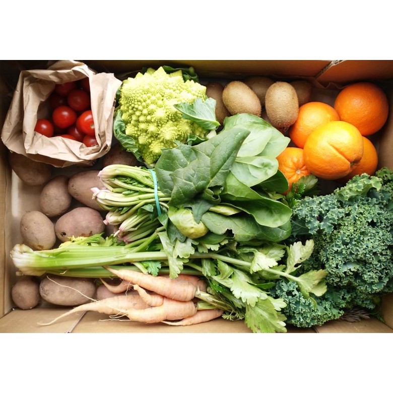 VEGETABLE AND FRUIT ECOBASKET