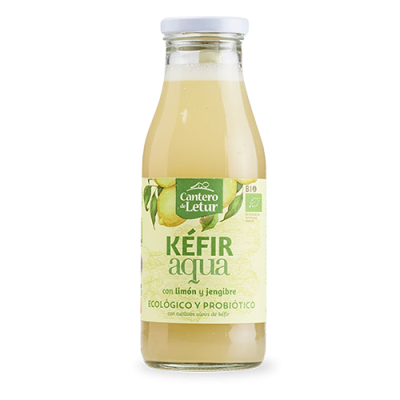 Kefir up limón y jengibre 500ml ecológico