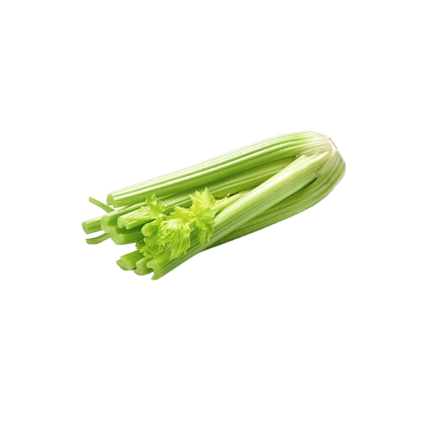 Apio Verde corto unidad Ecológico 
