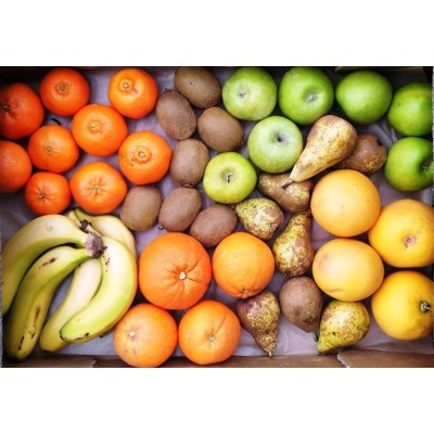 ECOCESTA FRUTA