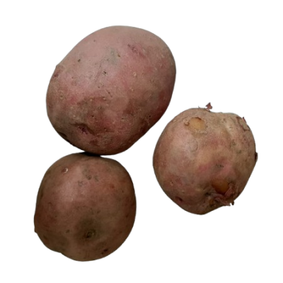 RED Potato Organic 