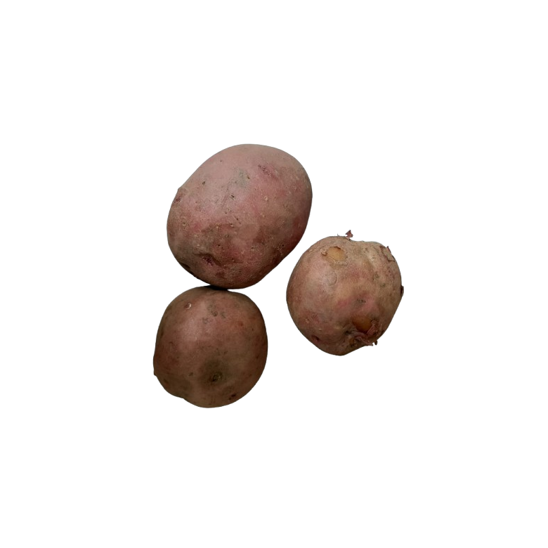 RED Potato Organic 