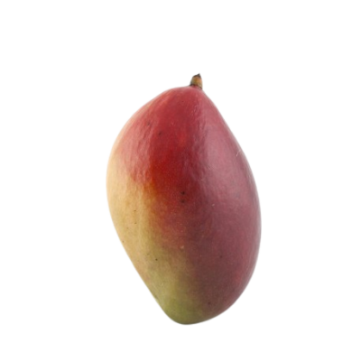 Mango OSTEEN Ecológico