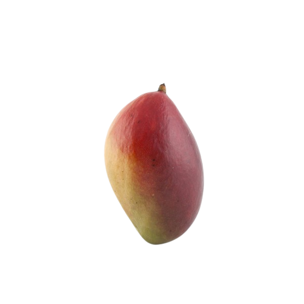 OSTEEN Mango Ecologic