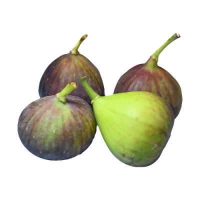 Fresh figs, 500g tray organic