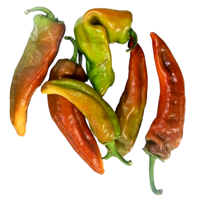 Italian pepper, between green and red Organic