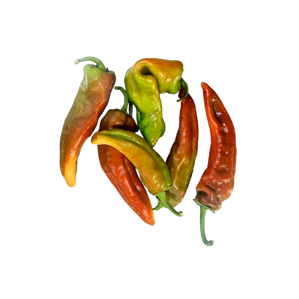 Pimiento italiano ENTREVERADO Ecológico