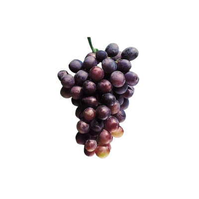 Uva NEGRA CON semillas Ecológica 