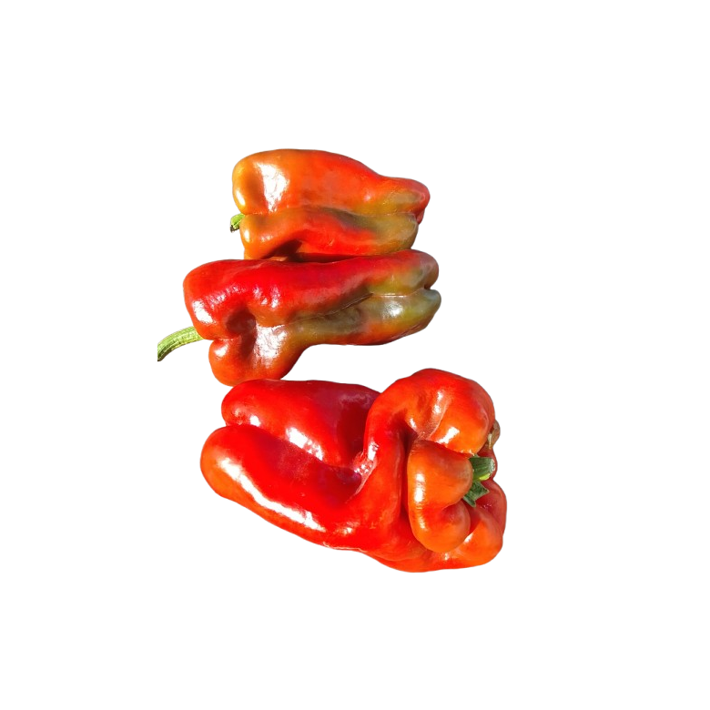 LAMUYO pepper -RED- organic