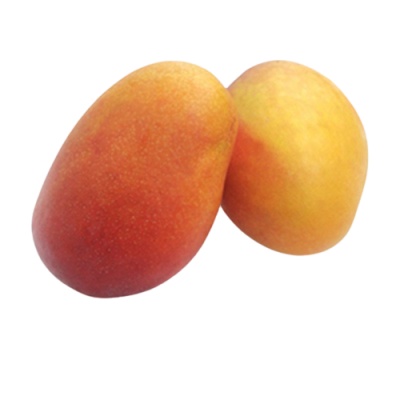Mango IRWIN -Madurado en arbol- Ecológico