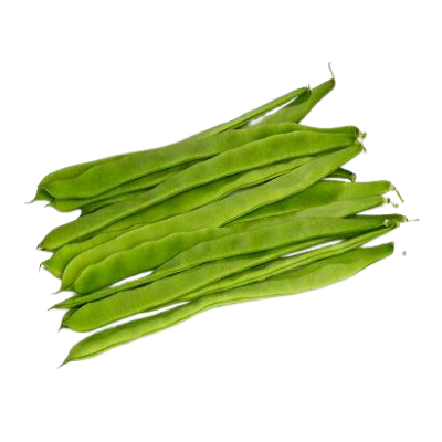 Judía verde plana var. lacia Ecológica