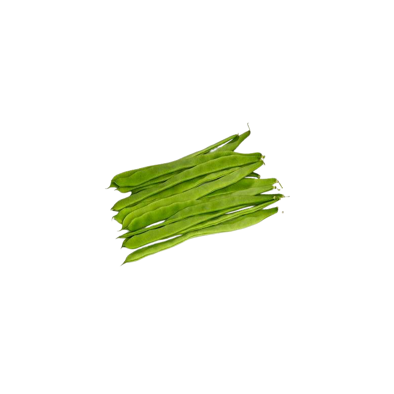 Judía verde plana var. lacia Ecológica