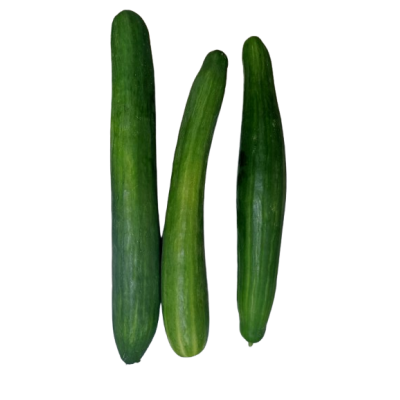 Pepino largo holandés OFERTA Ecológico