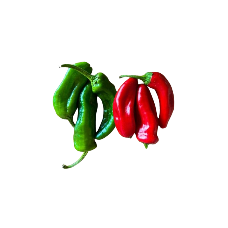 RED and GREEN Padrón peppers organic