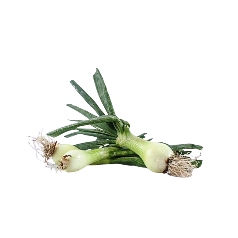 Spring Onion Ecologic 