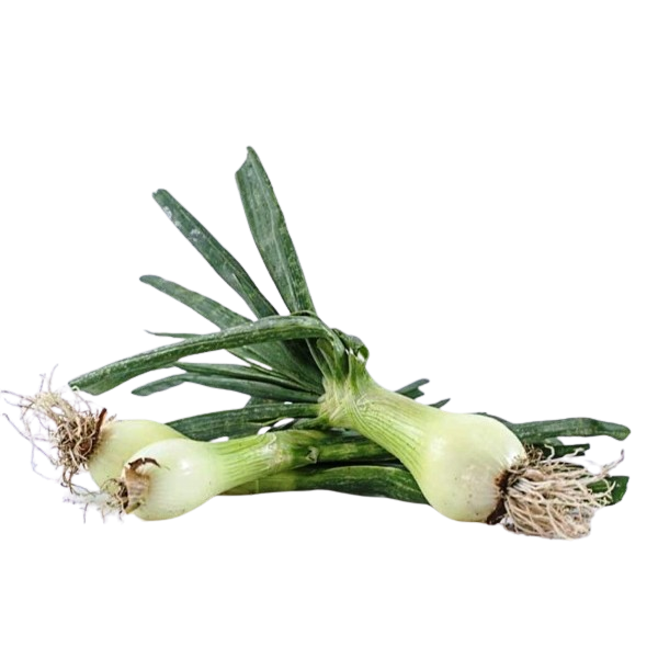 Spring Onion Ecologic 