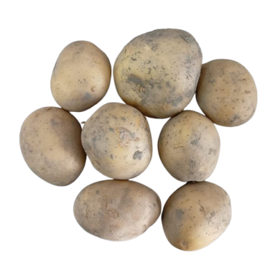Patata BLANCA Ecológica