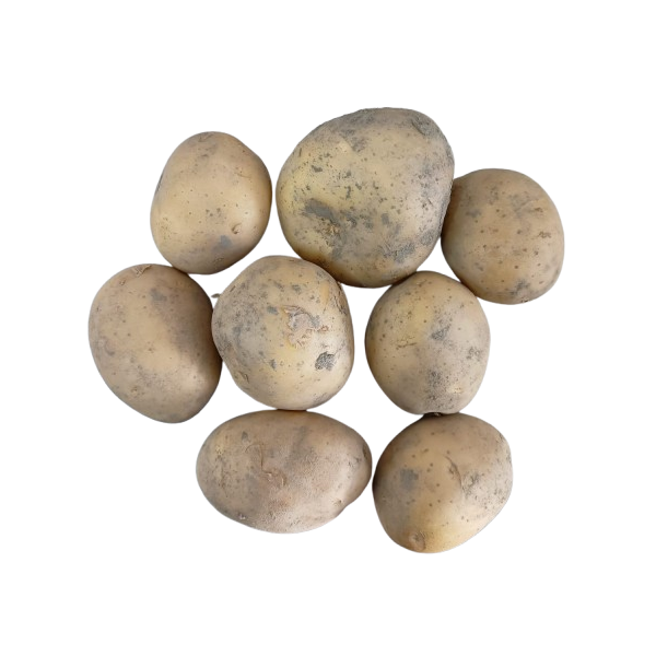Patata BLANCA Ecológica