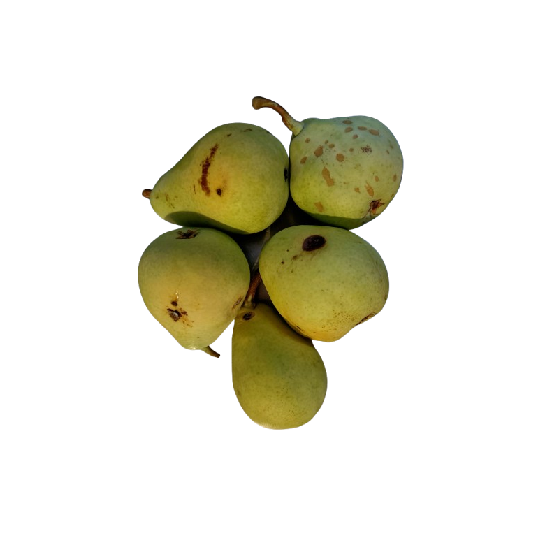 Ercolini Pears (Second Class) organic