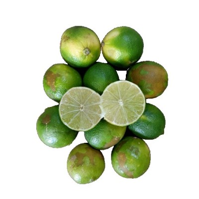 Lima Ecológica 