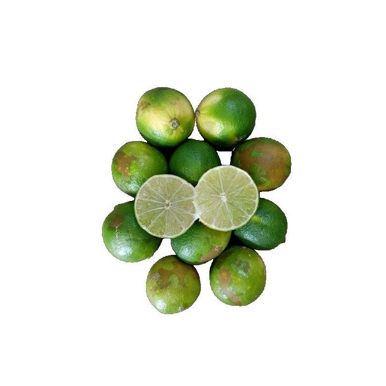 Lima Ecológica 