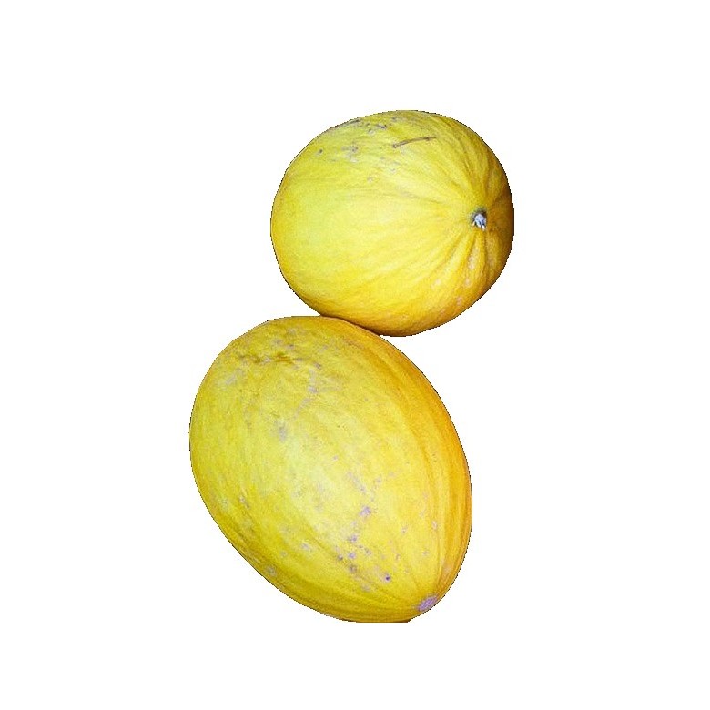 Melon AMARILLO canario Ecológico