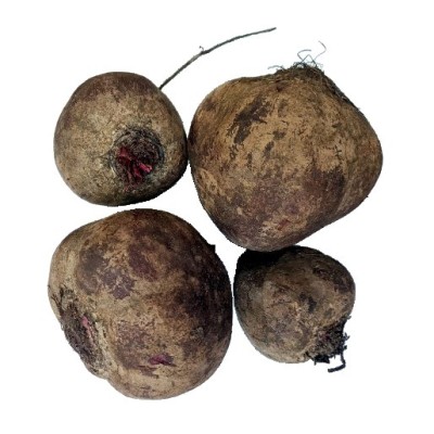 Beetroot without leaves organic