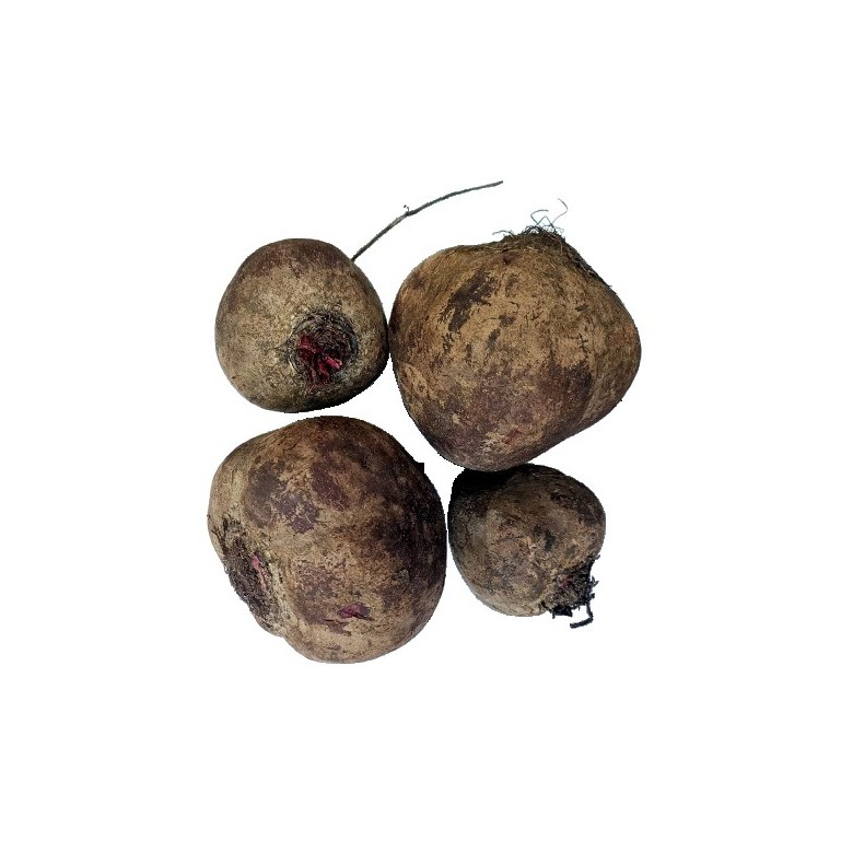 Beetroot without leaves organic