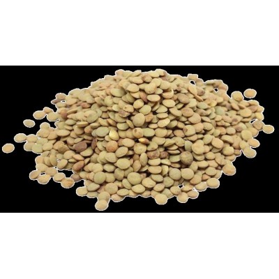 Castilian Lentils in Bulk Organic