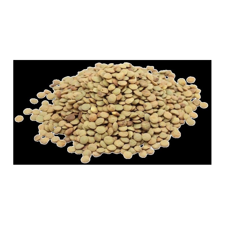 Castilian Lentils in Bulk Organic