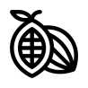 Cacao Eco